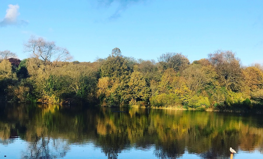 Hampstead Heath