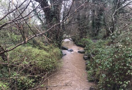 Swollen stream/ small river in Cardiff, Wales